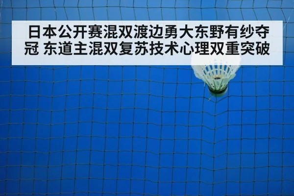 badminton net play